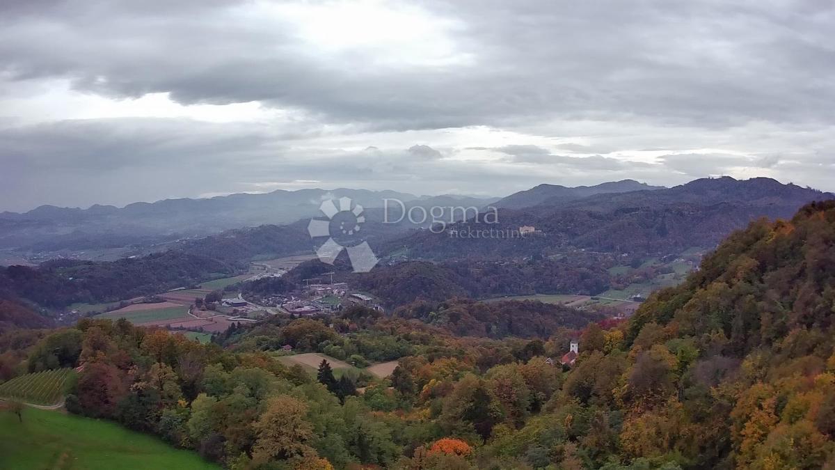 Kmetijsko zemljišče Jazbina, Desinić, 133.795m2