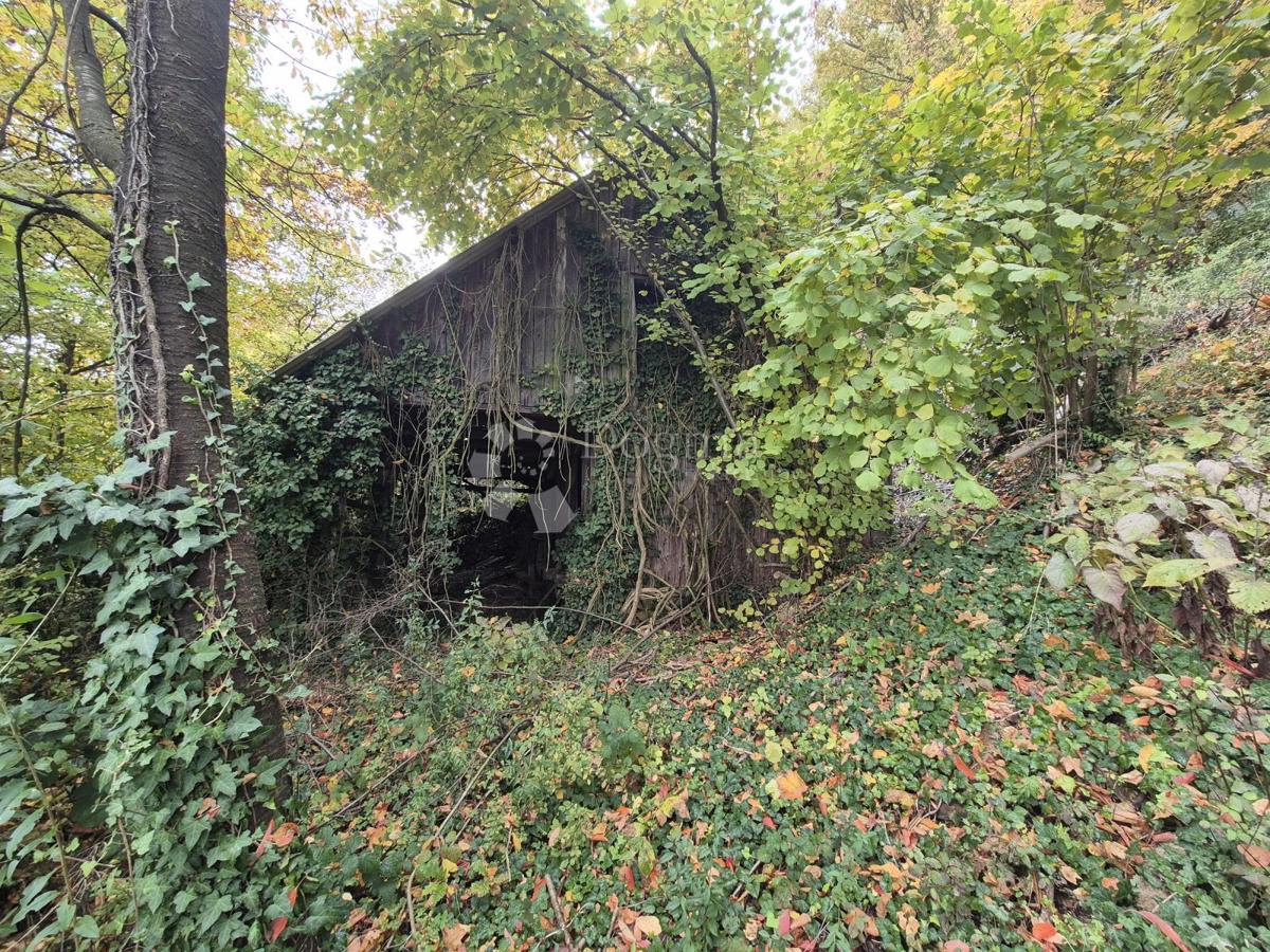 Kmetijsko zemljišče Jazbina, Desinić, 133.795m2