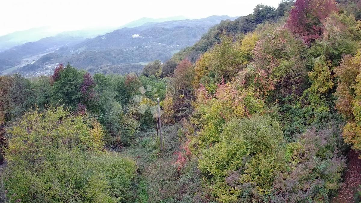 Kmetijsko zemljišče Jazbina, Desinić, 133.795m2