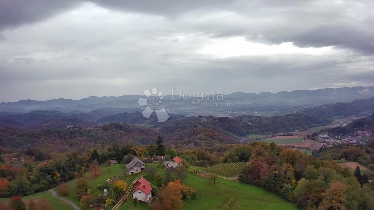 Kmetijsko zemljišče Jazbina, Desinić, 133.795m2