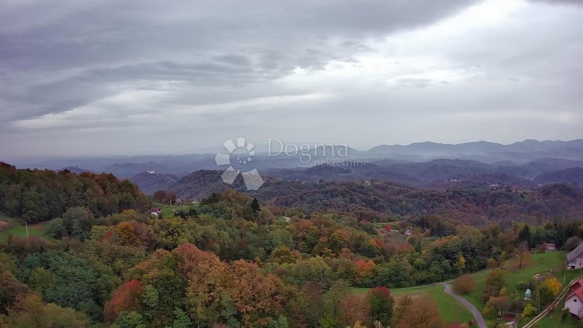 Kmetijsko zemljišče Jazbina, Desinić, 133.795m2