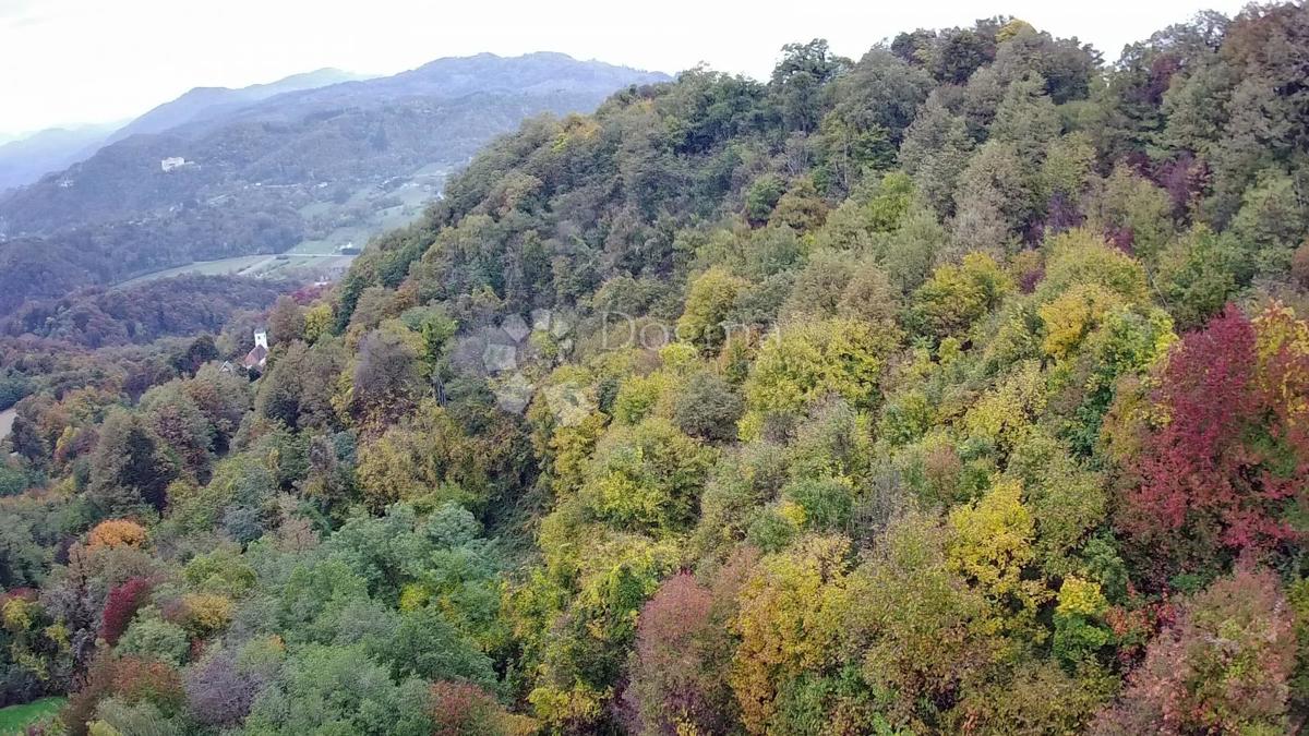 Kmetijsko zemljišče Jazbina, Desinić, 133.795m2