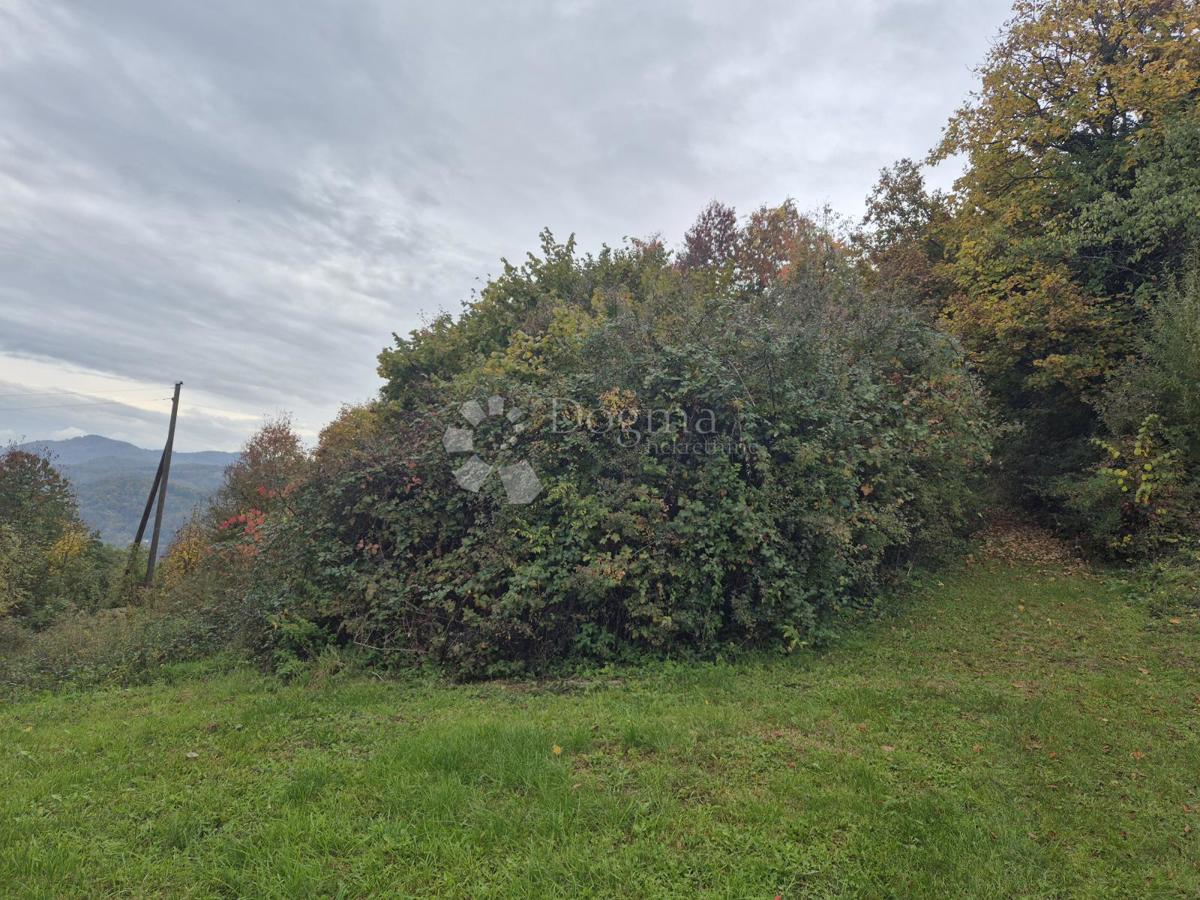 Kmetijsko zemljišče Jazbina, Desinić, 133.795m2