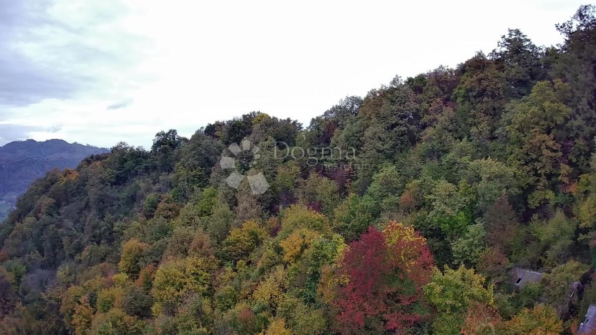 Kmetijsko zemljišče Jazbina, Desinić, 133.795m2