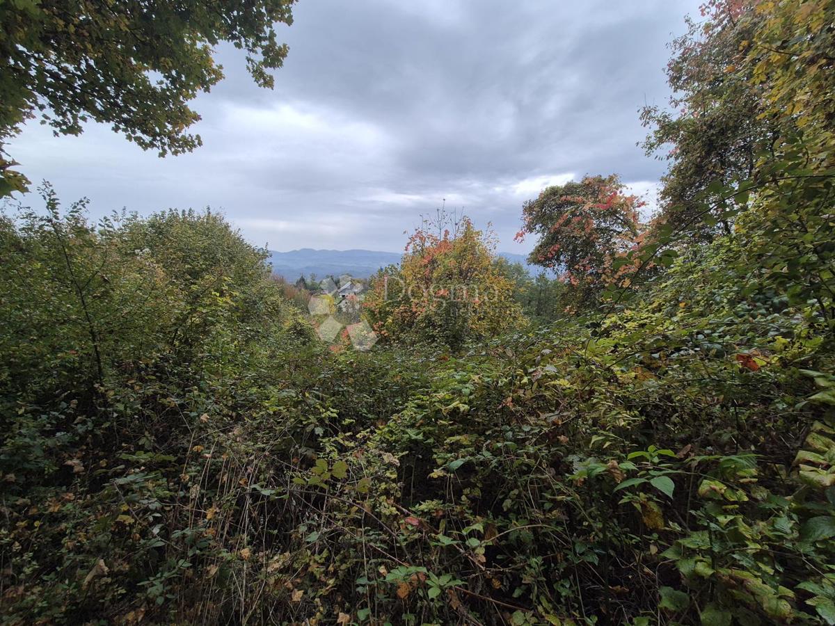 Kmetijsko zemljišče Jazbina, Desinić, 133.795m2