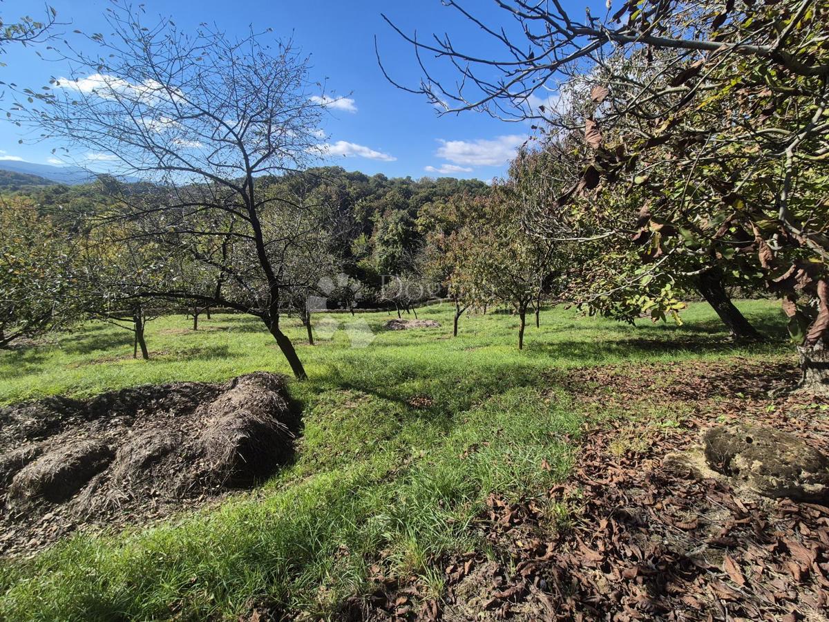 Hiša Repićevo Selo, Gornja Stubica, 45m2