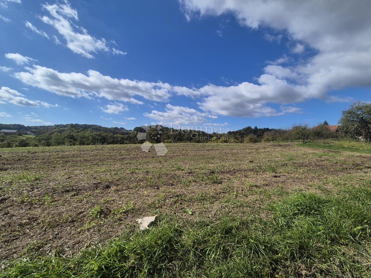 Hiša Repićevo Selo, Gornja Stubica, 45m2