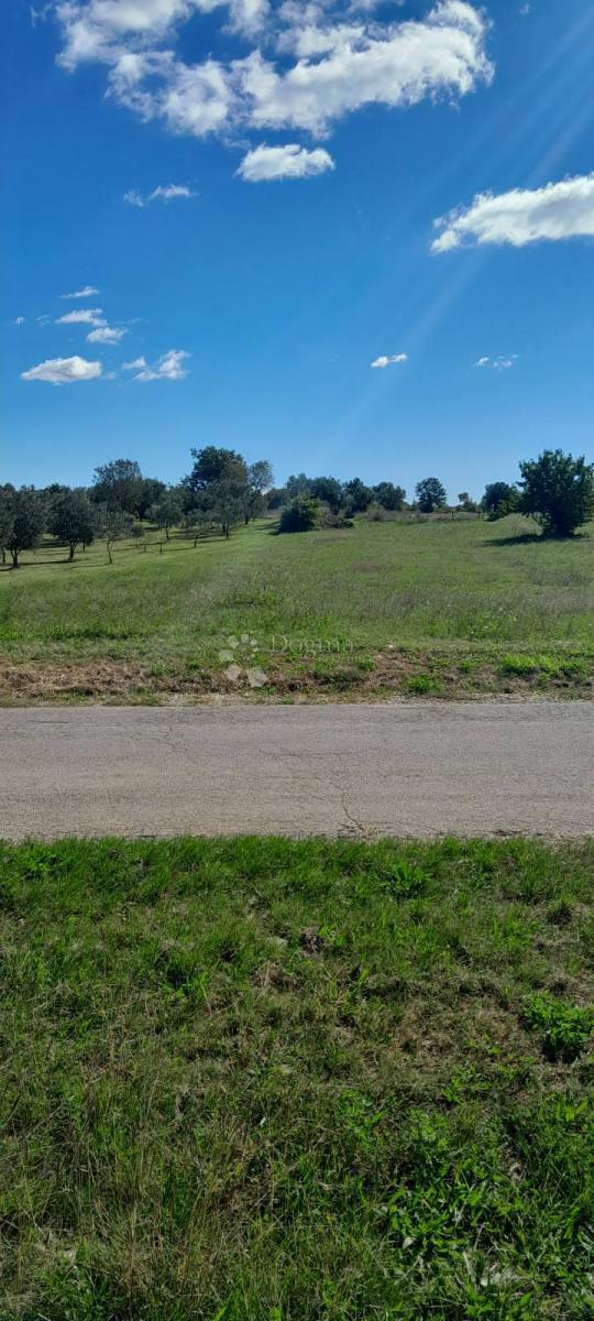 Kmetijsko zemljišče na mirni lokaciji