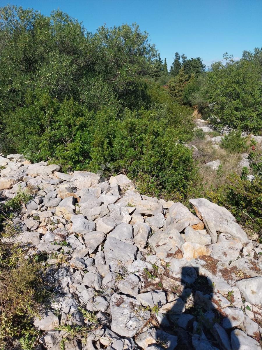 Zazidljivo zemljišče Božava, Sali, 581m2