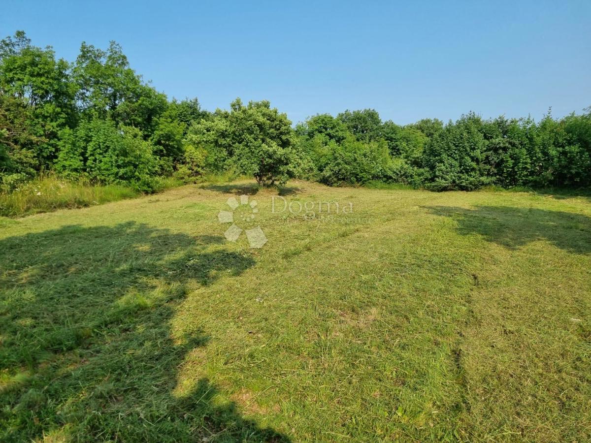 Zazidljivo zemljišče Manjadvorci, Barban, 1.013m2