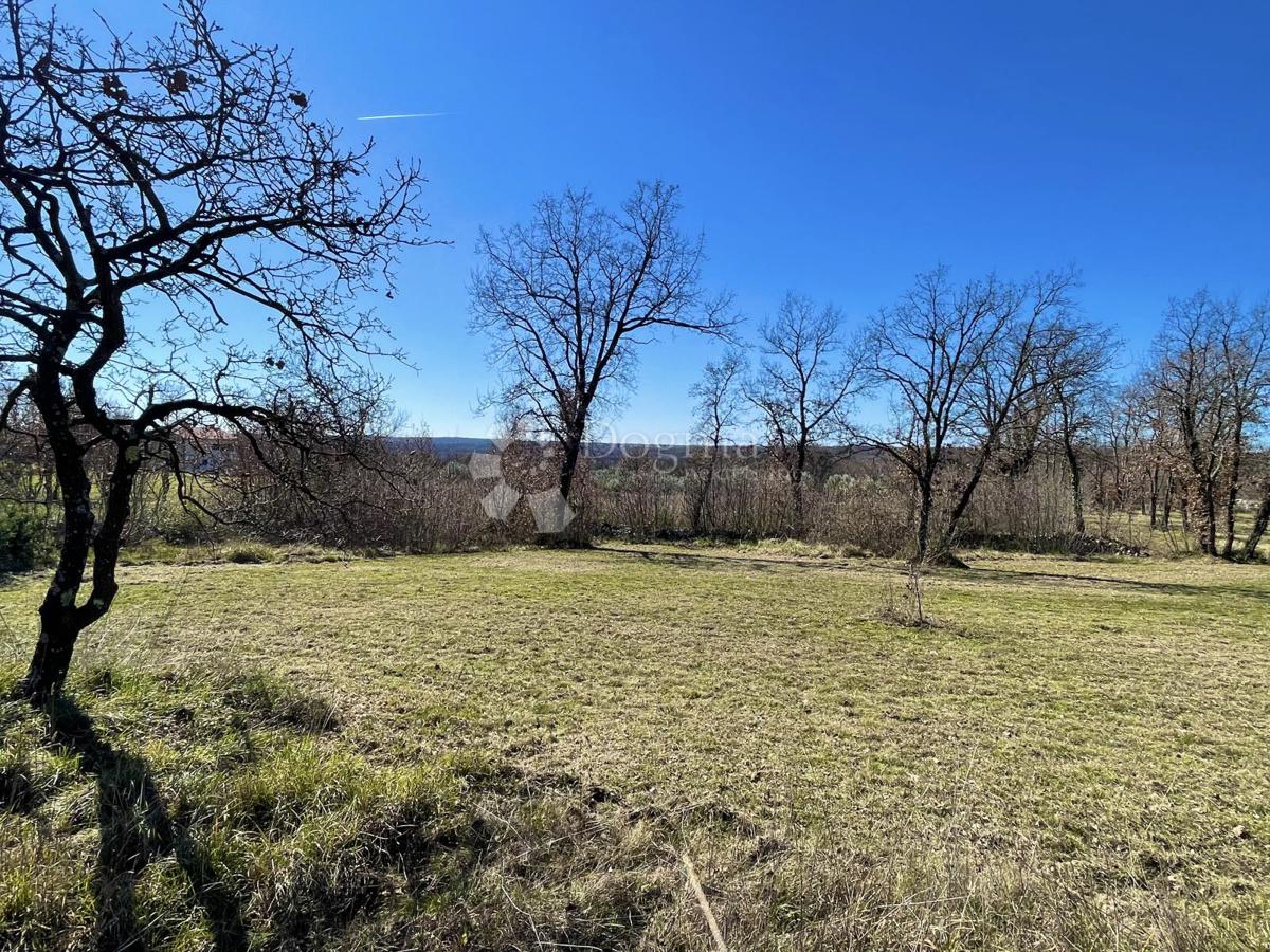 Zazidljivo zemljišče Manjadvorci, Barban, 1.013m2