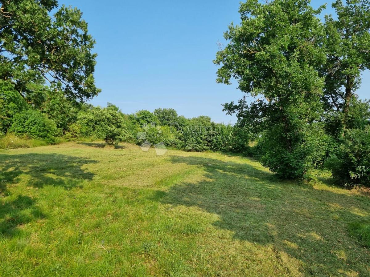 Zazidljivo zemljišče Manjadvorci, Barban, 1.013m2