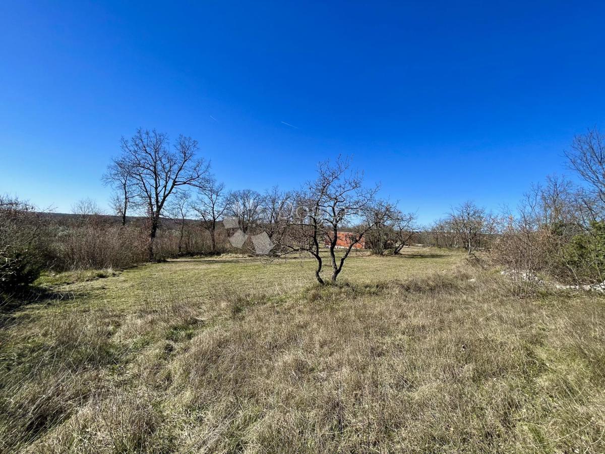 Zazidljivo zemljišče Manjadvorci, Barban, 1.013m2