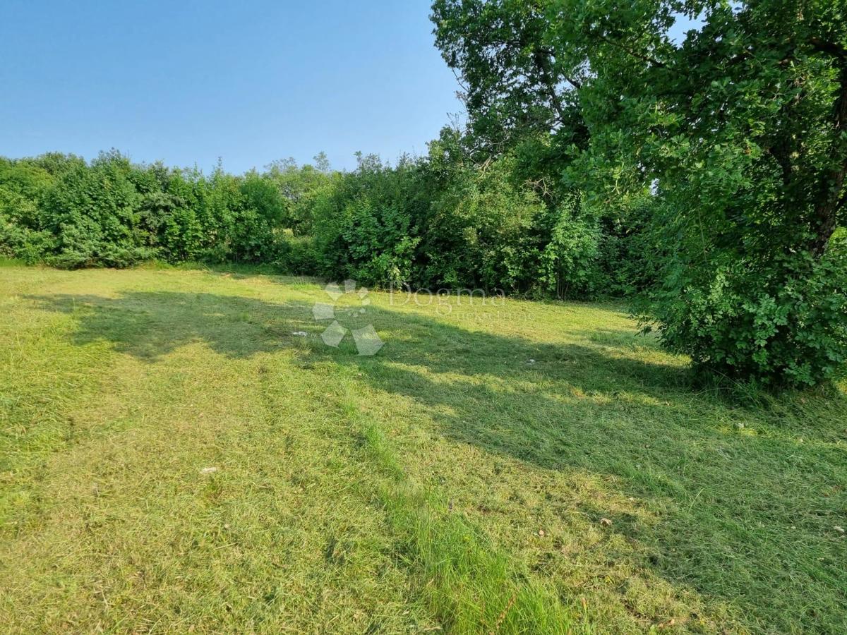 Zazidljivo zemljišče Manjadvorci, Barban, 1.013m2