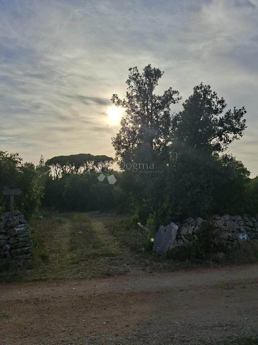 Kmetijsko zemljišče Močići, Konavle, 22.800m2