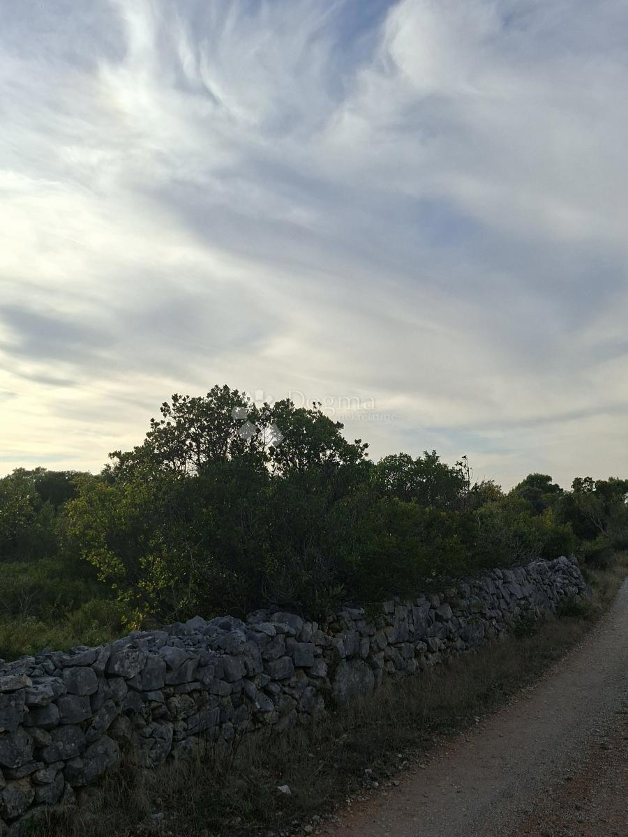 Kmetijsko zemljišče Močići, Konavle, 22.800m2