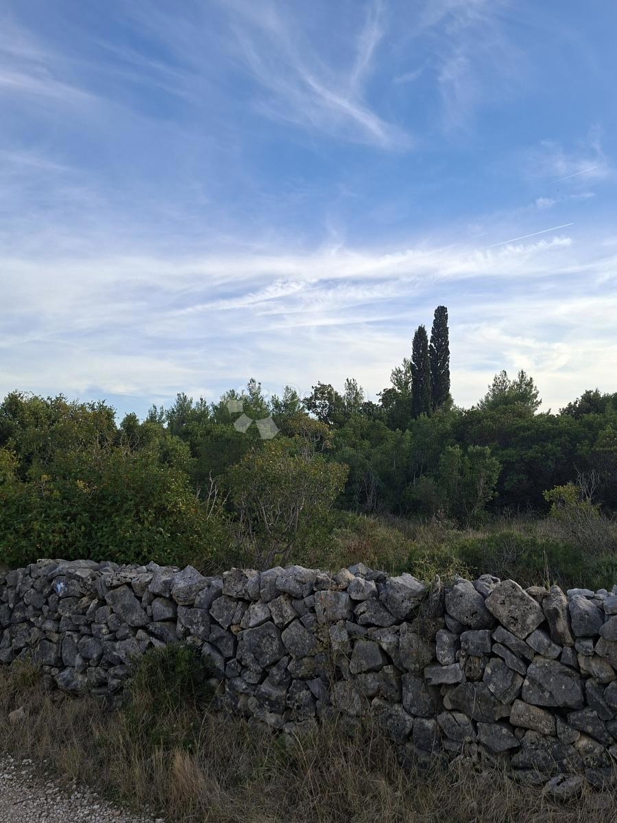 Kmetijsko zemljišče Močići, Konavle, 22.800m2