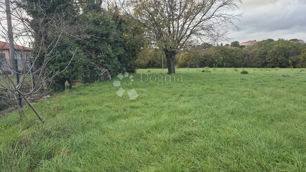 Površina stavbe 574 m2 + kmetijska zemljišča 10325 m2 v Valturi