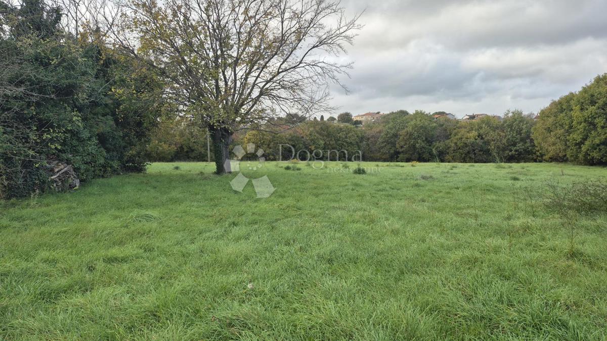 Površina stavbe 574 m2 + kmetijska zemljišča 10325 m2 v Valturi