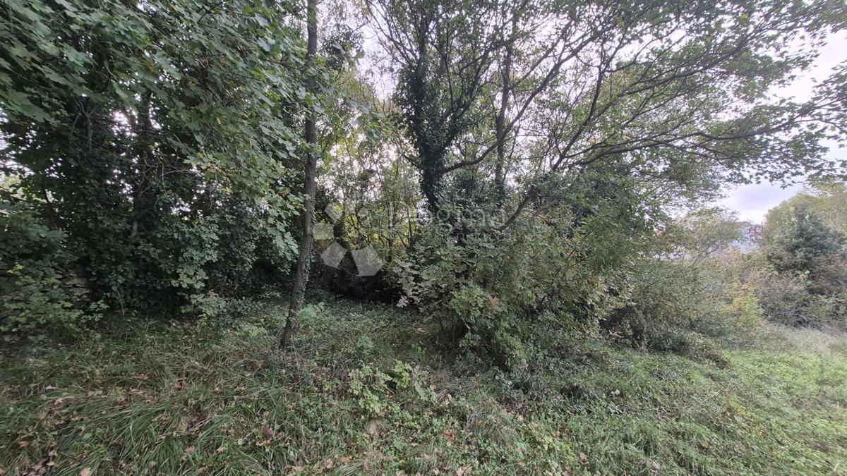 Površina stavbe 574 m2 + kmetijska zemljišča 10325 m2 v Valturi