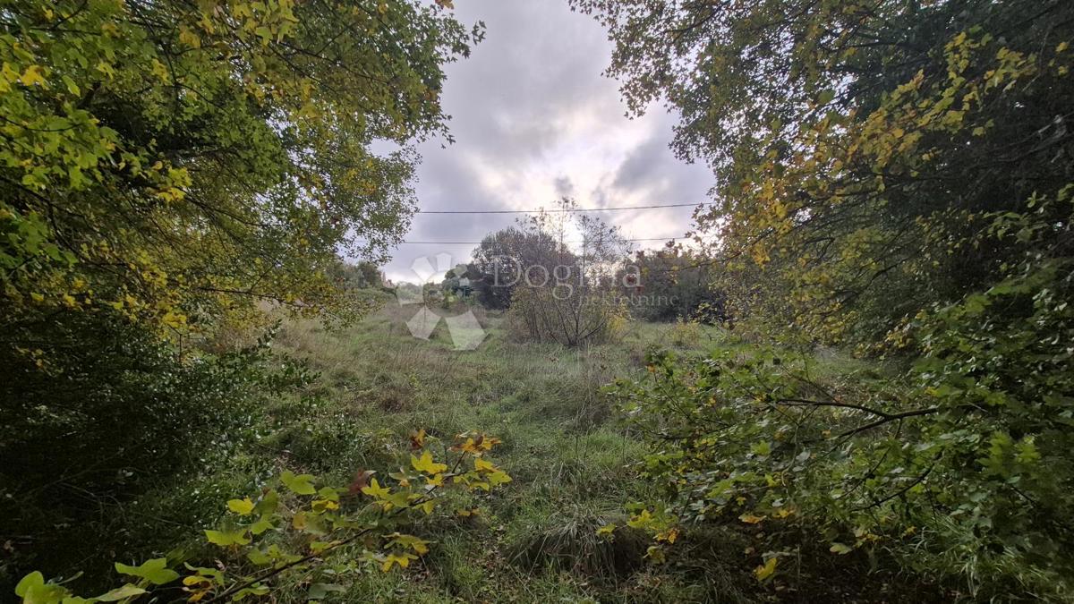 Površina stavbe 574 m2 + kmetijska zemljišča 10325 m2 v Valturi