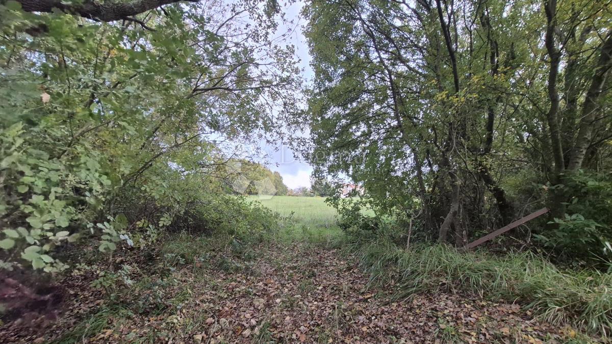 Površina stavbe 574 m2 + kmetijska zemljišča 10325 m2 v Valturi