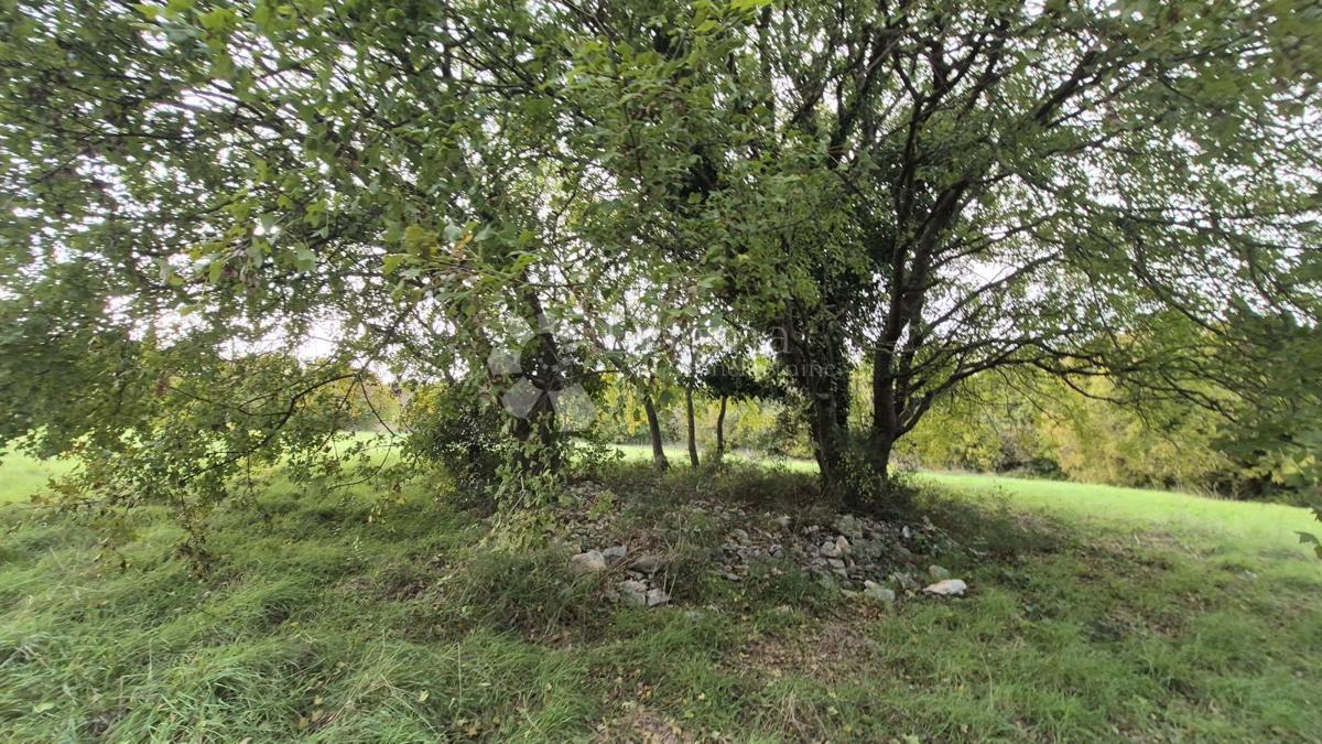 Površina stavbe 574 m2 + kmetijska zemljišča 10325 m2 v Valturi