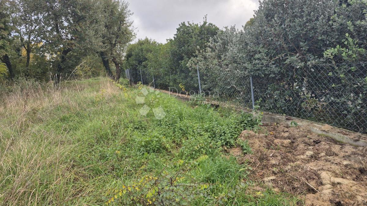 Površina stavbe 574 m2 + kmetijska zemljišča 10325 m2 v Valturi