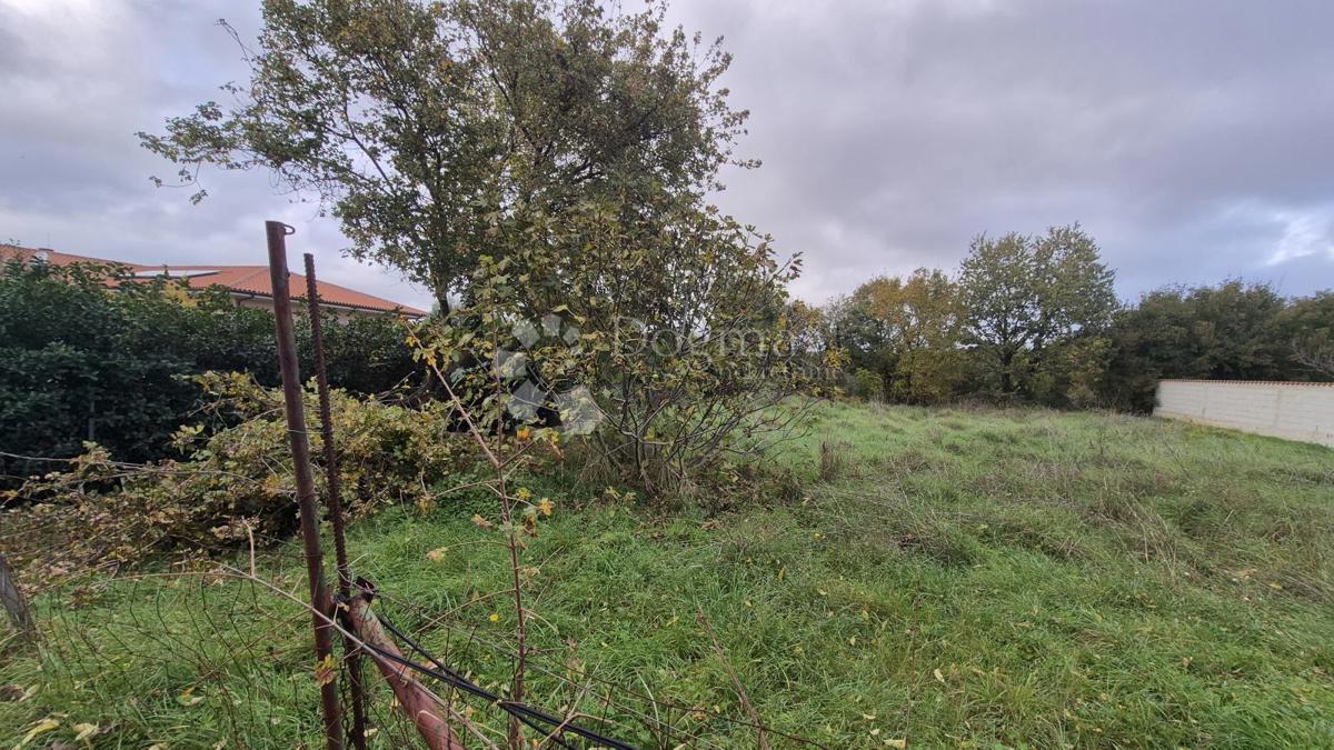 Površina stavbe 574 m2 + kmetijska zemljišča 10325 m2 v Valturi