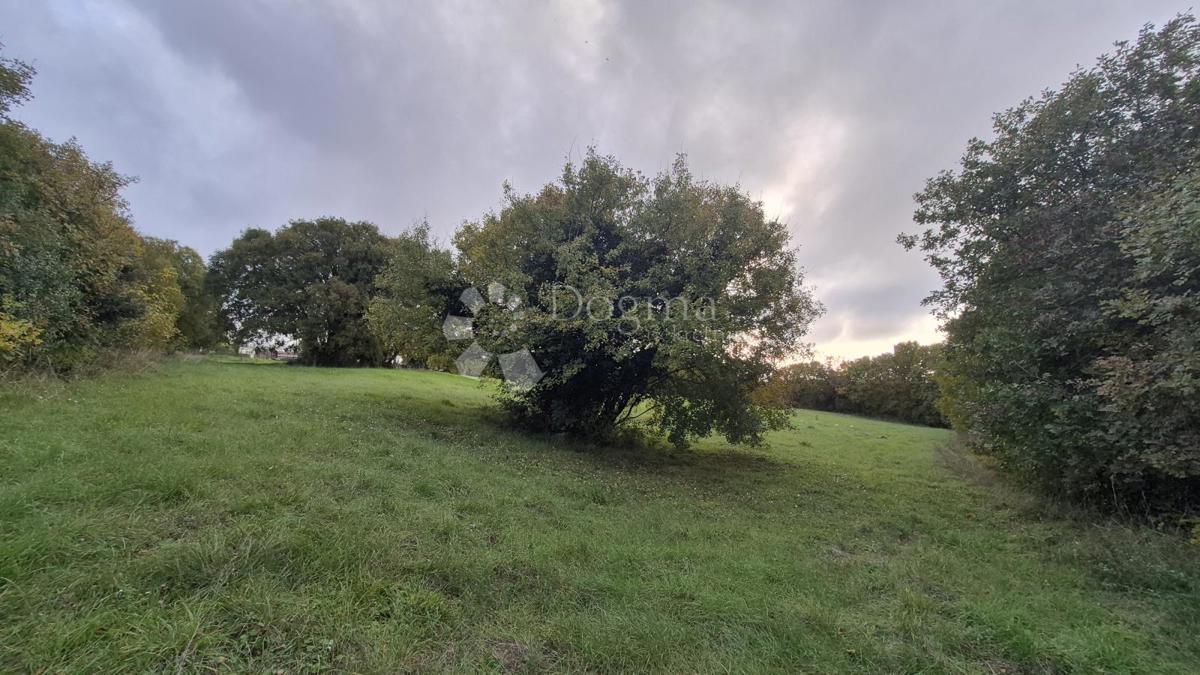 Površina stavbe 574 m2 + kmetijska zemljišča 10325 m2 v Valturi