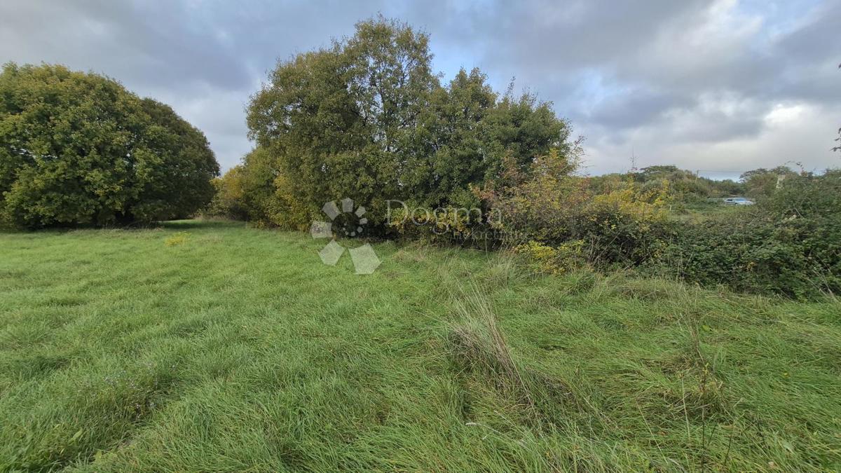 Površina stavbe 574 m2 + kmetijska zemljišča 10325 m2 v Valturi