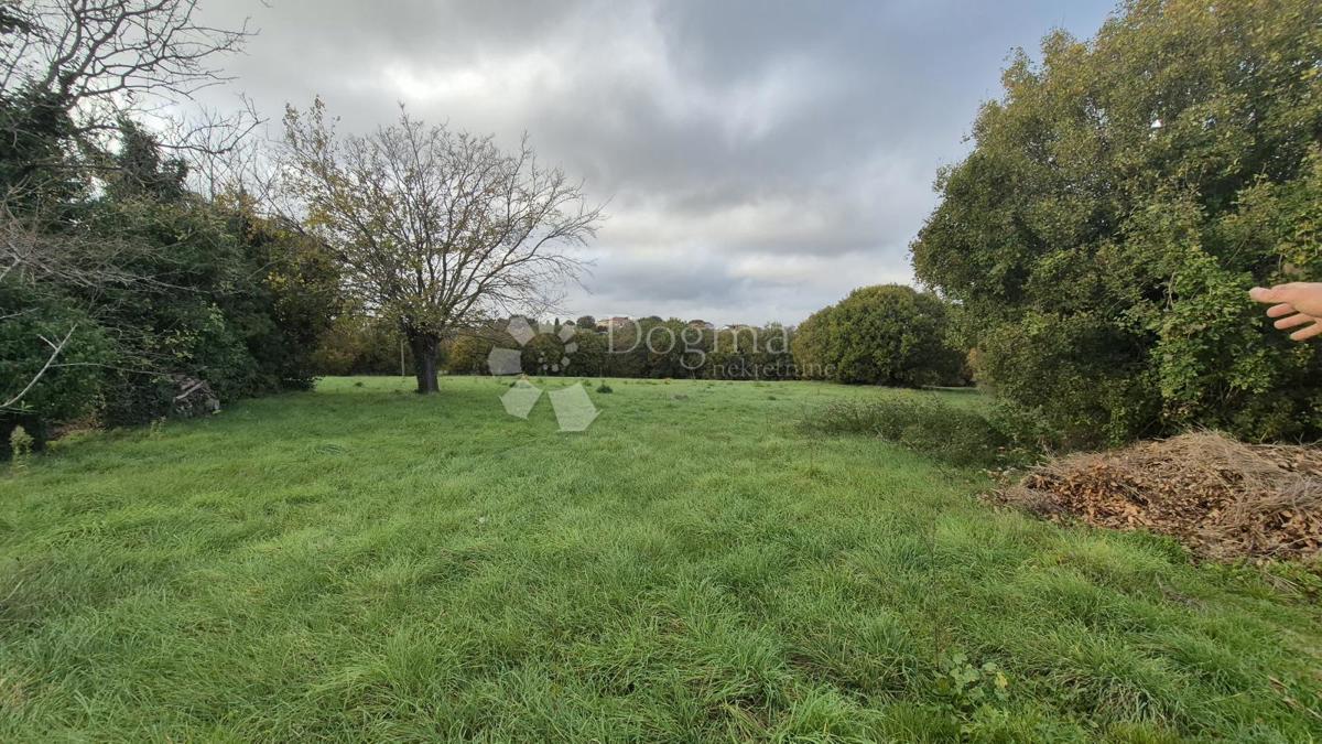 Površina stavbe 574 m2 + kmetijska zemljišča 10325 m2 v Valturi