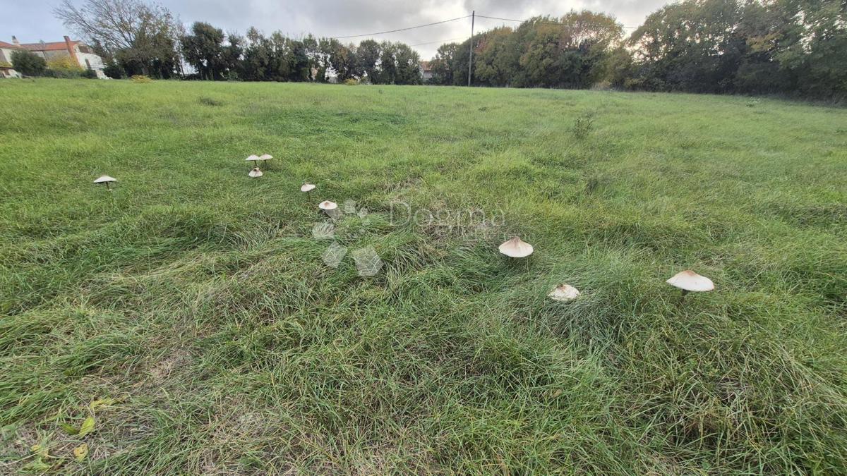 Površina stavbe 574 m2 + kmetijska zemljišča 10325 m2 v Valturi