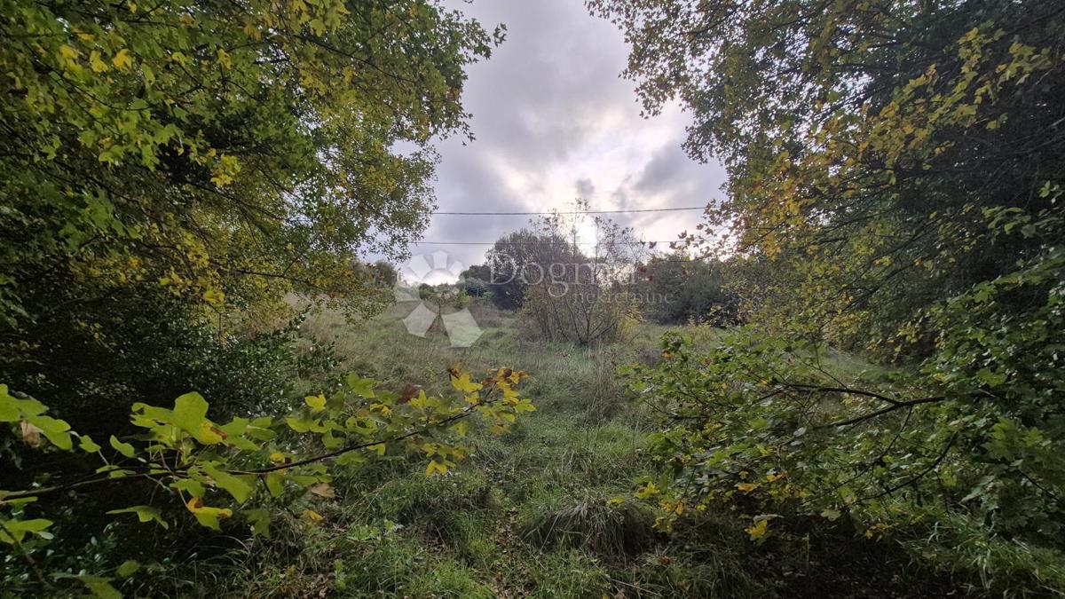 Površina stavbe 574 m2 + kmetijska zemljišča 10325 m2 v Valturi