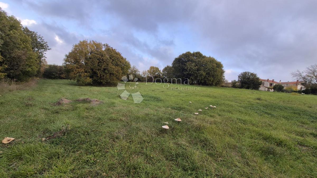 Površina stavbe 574 m2 + kmetijska zemljišča 10325 m2 v Valturi