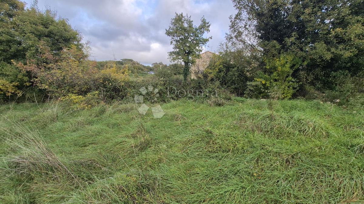 Površina stavbe 574 m2 + kmetijska zemljišča 10325 m2 v Valturi