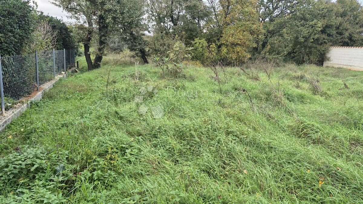 Površina stavbe 574 m2 + kmetijska zemljišča 10325 m2 v Valturi