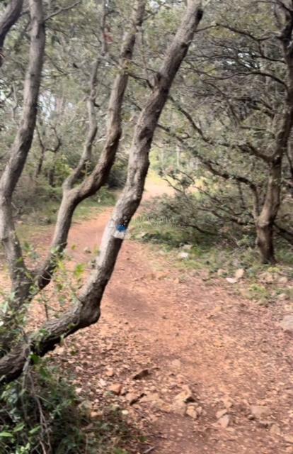 Kmetijsko zemljišče Krk, 6.499m2