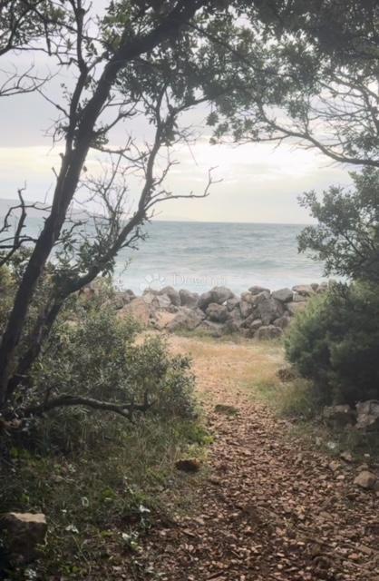 Kmetijsko zemljišče Krk, 6.499m2