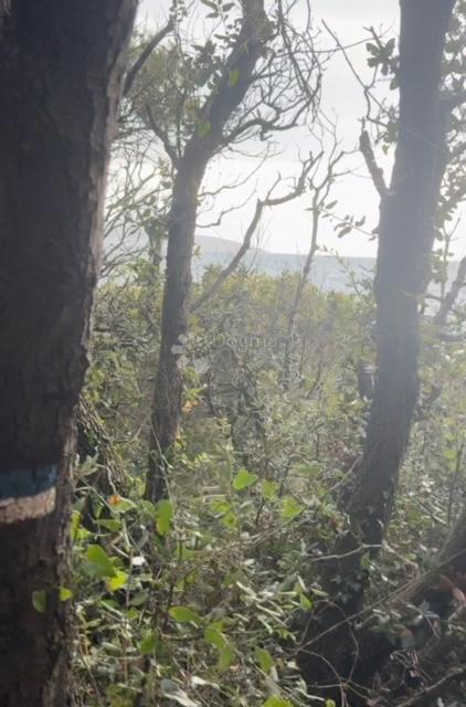 Kmetijsko zemljišče Krk, 6.499m2