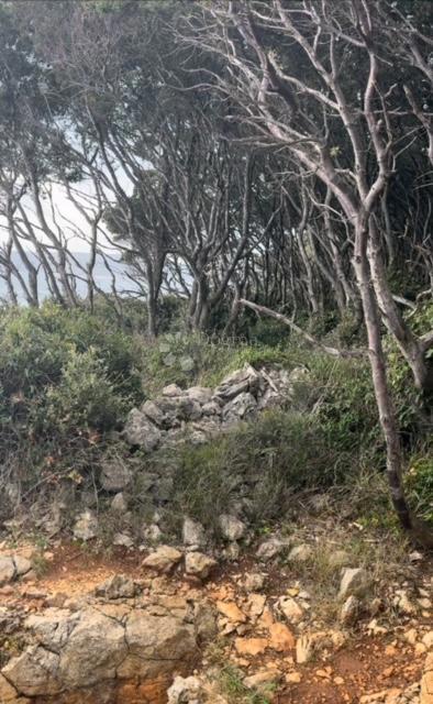 Kmetijsko zemljišče Krk, 6.499m2