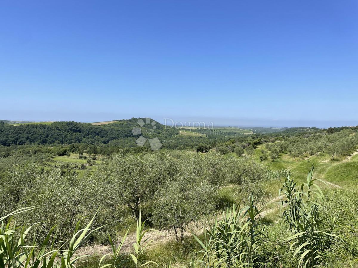 ZEMLJIŠČE Z GRADBENIM DOVOLJENJEM ZA VILLO Z BAZENOM