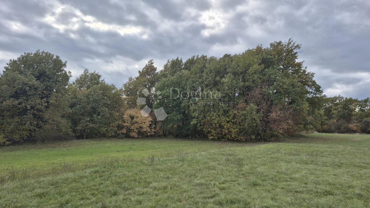 Kmetijsko zemljišče Pusti, Svetvinčenat, 8.182m2