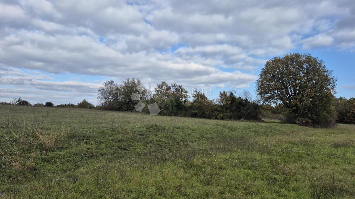 Kmetijsko zemljišče Pusti, Svetvinčenat, 8.182m2