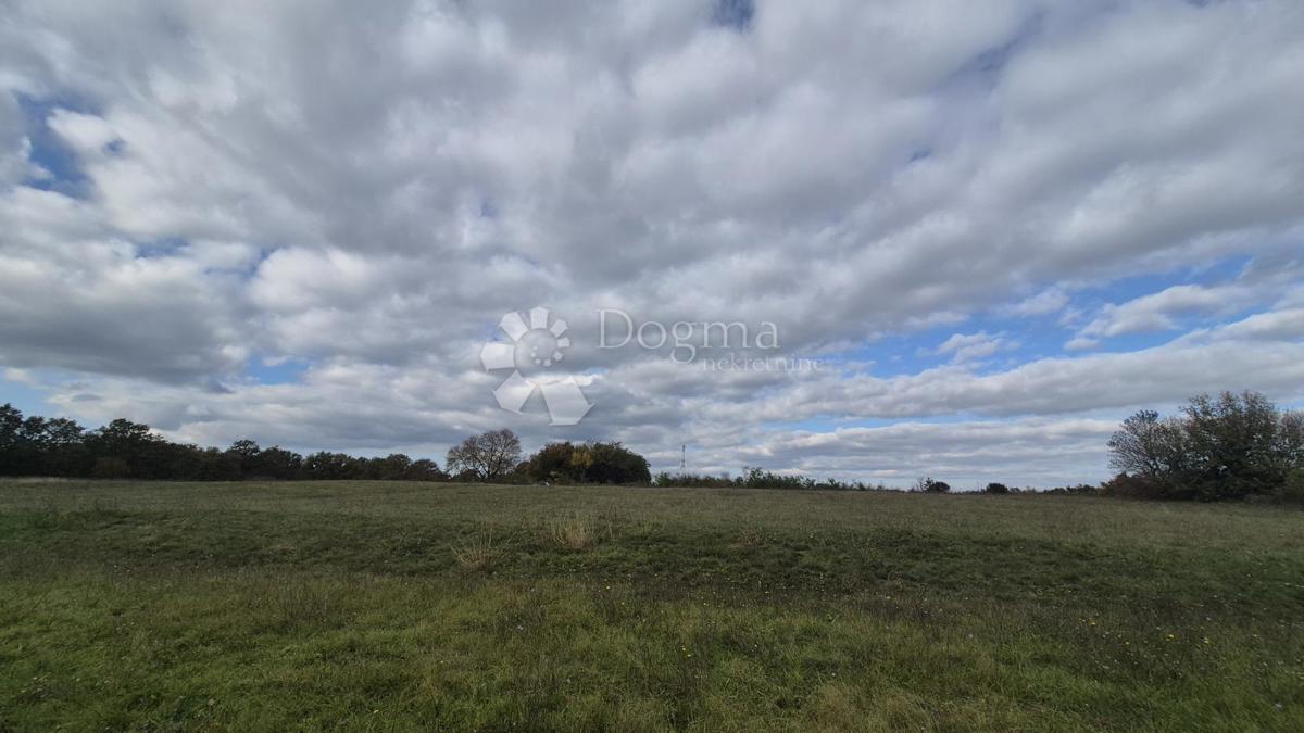 Kmetijsko zemljišče Pusti, Svetvinčenat, 8.182m2