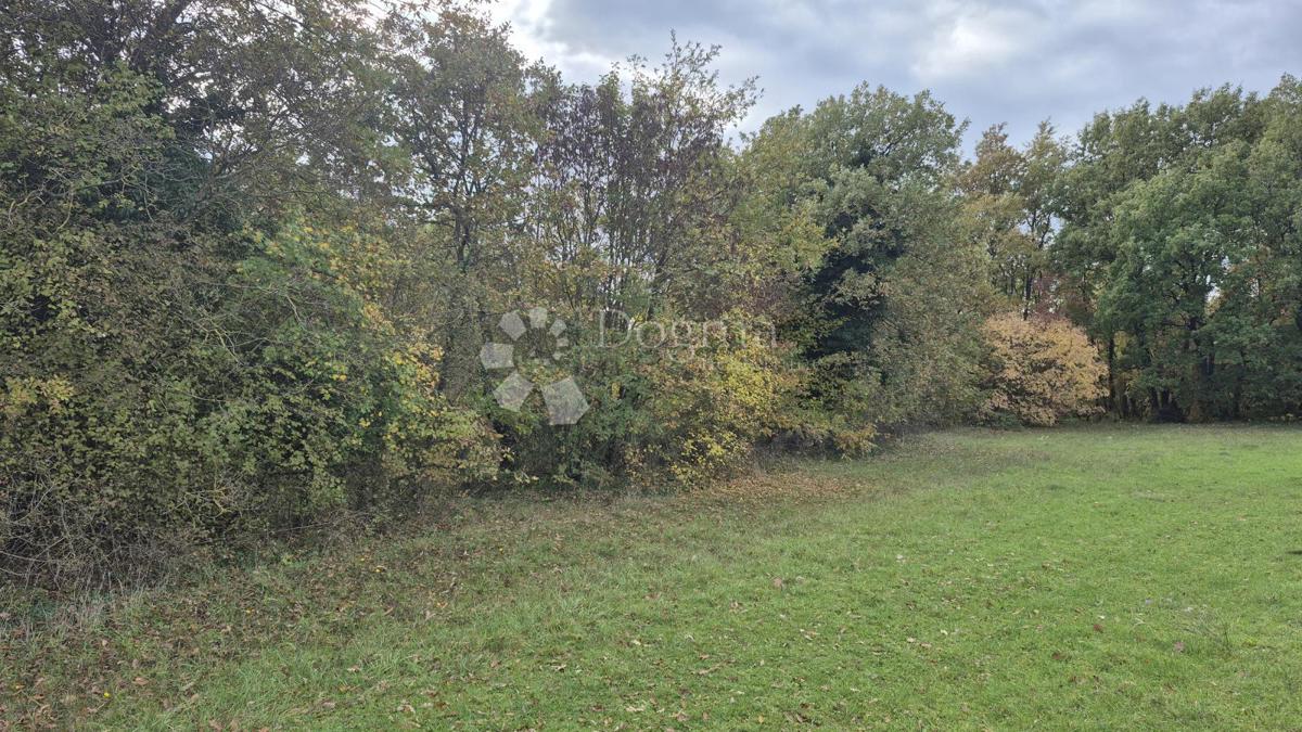 Kmetijsko zemljišče Pusti, Svetvinčenat, 8.182m2