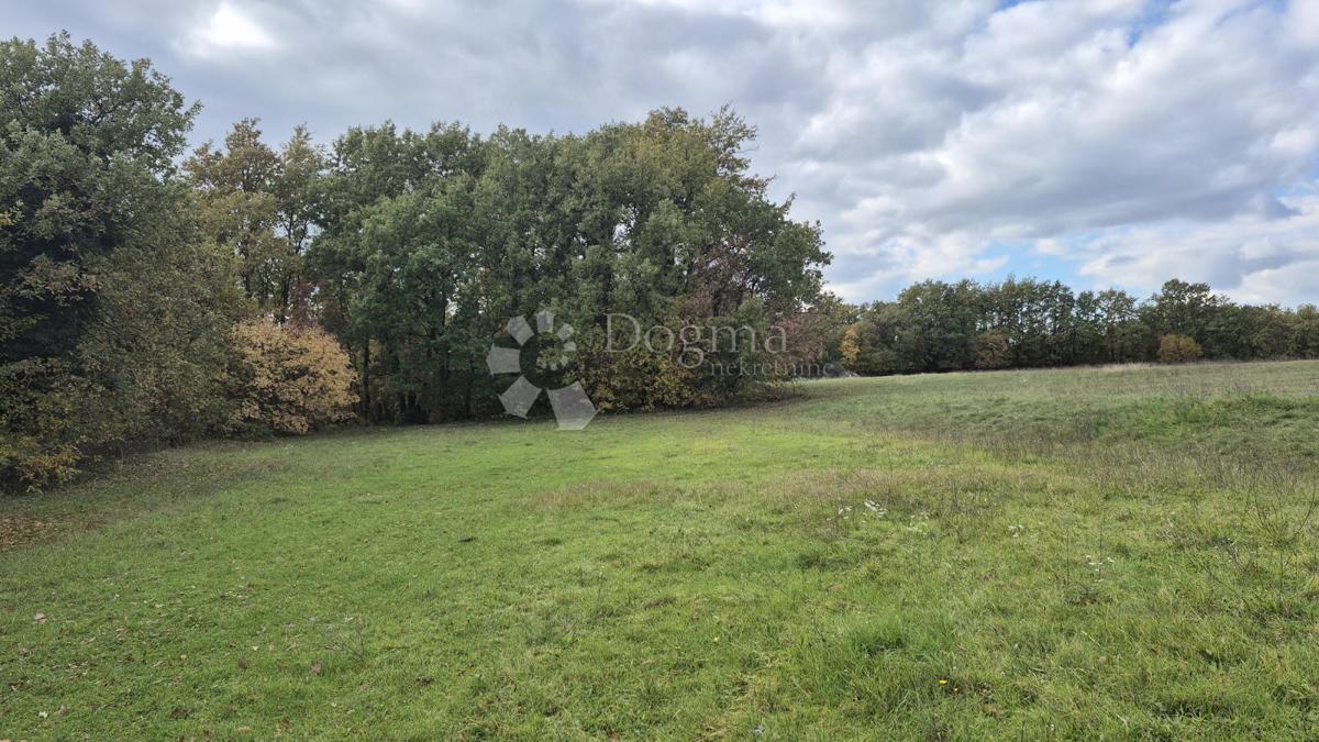 Kmetijsko zemljišče Pusti, Svetvinčenat, 8.182m2