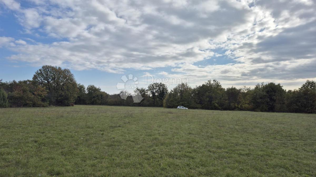 Kmetijsko zemljišče Pusti, Svetvinčenat, 8.182m2