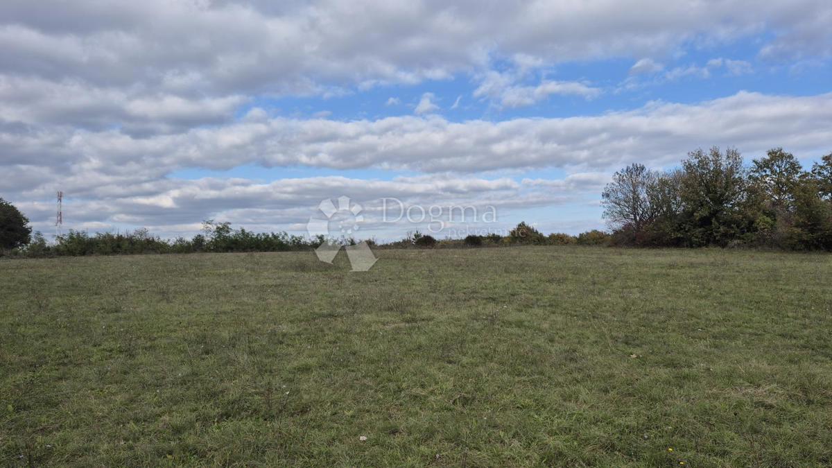 Kmetijsko zemljišče Pusti, Svetvinčenat, 8.182m2