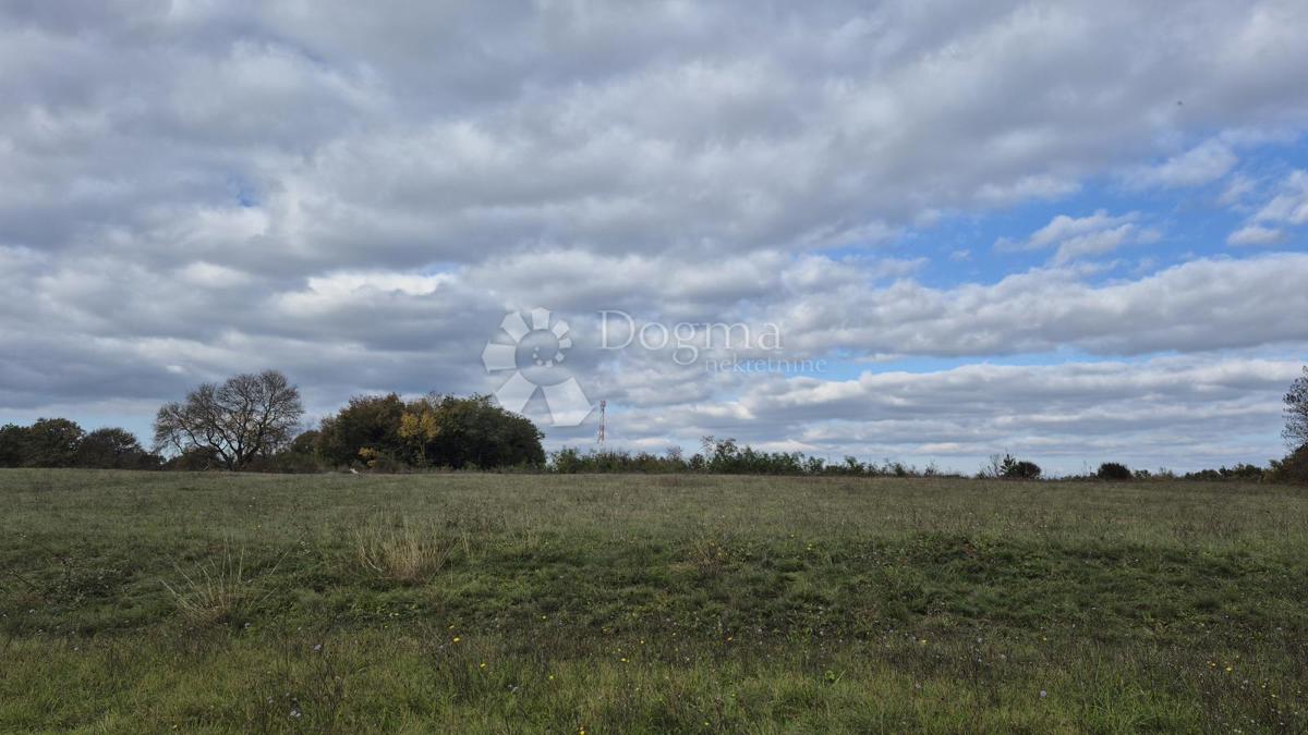 Kmetijsko zemljišče Pusti, Svetvinčenat, 8.182m2